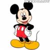 MARKO Habszivacs falidekor Mickey 1 Cod SRMK 008