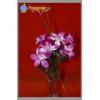 Orchidea Virgcsokor 35 cm