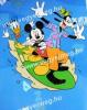 Mickey egr polr pld szrfs
