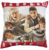 One direction prna
