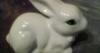 Elad Porceln nyuszi Olcsn elad playboy nyuszi pld