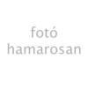 RONOL tisztt hab 400ml 101376