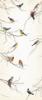 KOMAR ajt poszter 2 rszes 2 1014 Birds