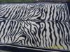 ZEBRA mints sznyeg Elad