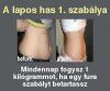 Oroszln horoszkp 2013 ? csald s szerelem