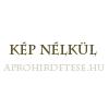 Lnclez sablon reszelvel 4 0 mm 10109002