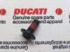 SPECILIS CSAVAR DUCATI 77210893B