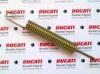 SZTENDER BELS RUG DUCATI 800062676