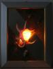 SHELL LIGHT 003 1xG9 230V 25W kagyl lmpa