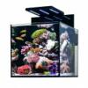 Aqua Medic Cubicus komplett 140 literes tengeri akvrium