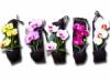 Orchidea falidsz I