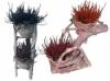 Rattan kermia virgtart 2 cserepes