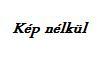 12 gyerek bicikli