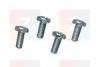 Tartozkok rack csavar M6x10