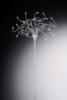 Odeon PT18 Modern lllmpa Ideal Lux lmpa