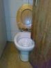 WC ajt