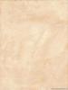 AMARYLIS Brown FALICSEMPE 25X33
