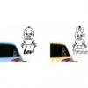 Baby on a board matrica LCDA A021