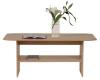 Tip Top dohnyzasztal TLAW 60 120